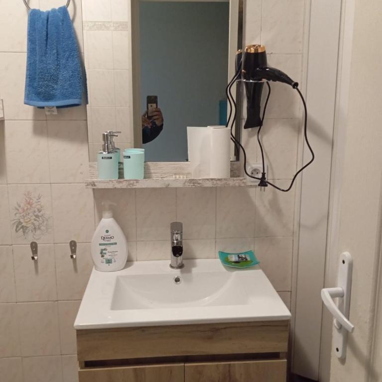 Myosotis - Haus mit 1 Schlafzimmer - 2