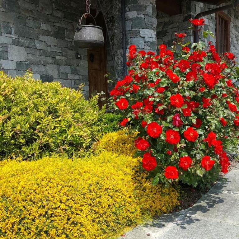 Appartamento Fleur Des Neiges - Superior Apartment - 20