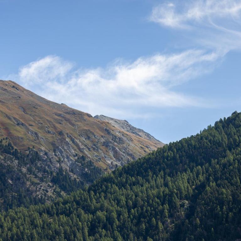 Apartment in a sunny location in Samedan - Apartment mit 2 Schlafzimmern - 22