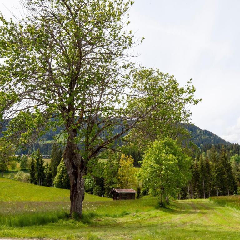 Holiday Home Brixen Valley Ski Bus Access - Ferienhaus mit 5 Schlafzimmern - 27