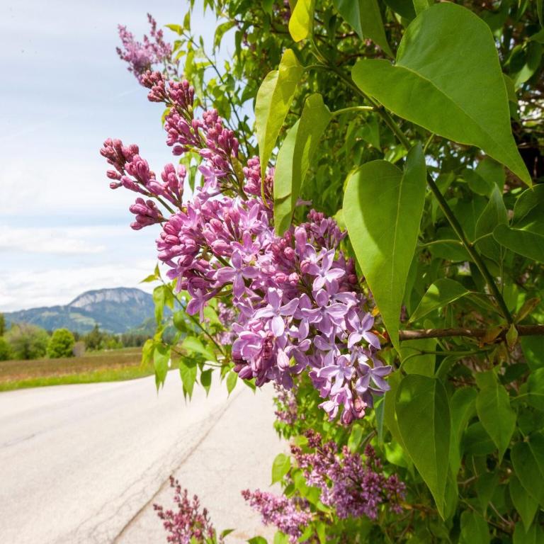 Holiday Home Brixen Valley Ski Bus Access - Ferienhaus mit 5 Schlafzimmern - 32
