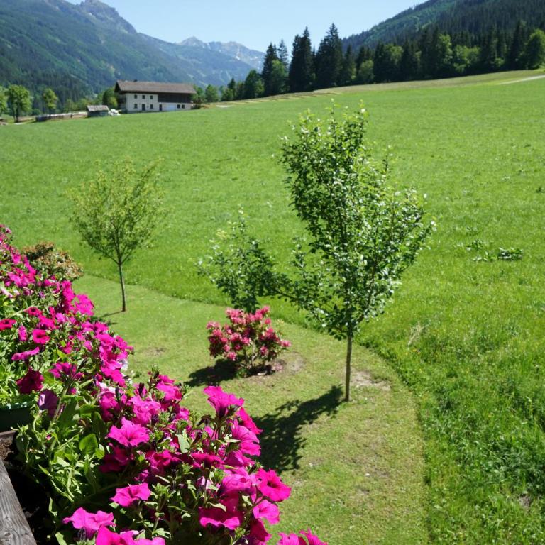 Matthiasgut - Tauernview L - Apartamento Deluxe - 31