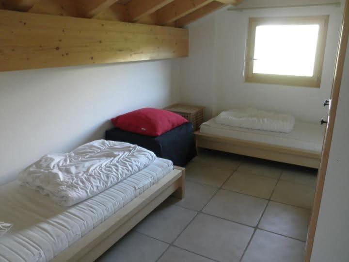 Moilles 20 - Apartamento - 21