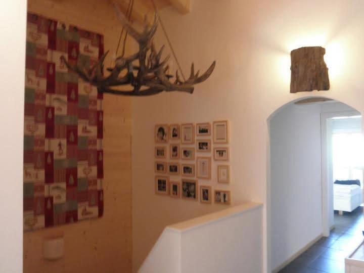 Moilles 20 - Apartamento - 13