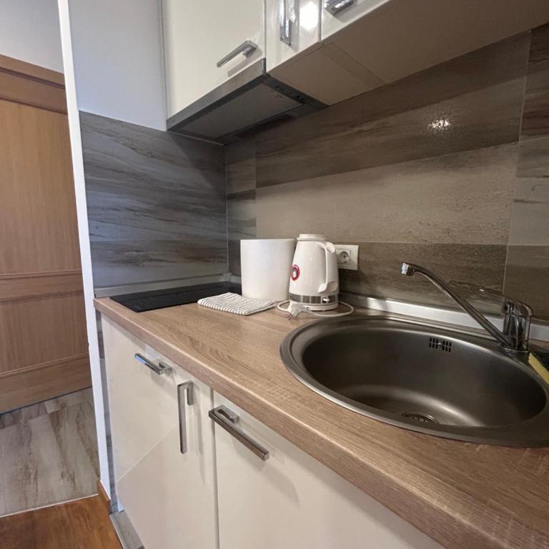 Vila borova - One-Bedroom Apartment - 11