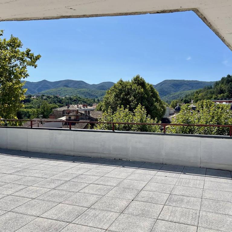 Le Coeur de Lamalou - Appartamento con 1 Camera da Letto e Balcone - 8