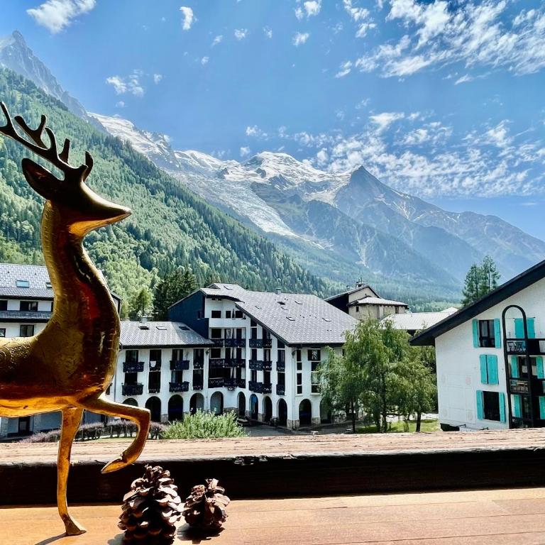CHAMONIX Centre - Studio de charme Vue sur le Mont-Blc - Estudio con vistas a las montañas - 10
