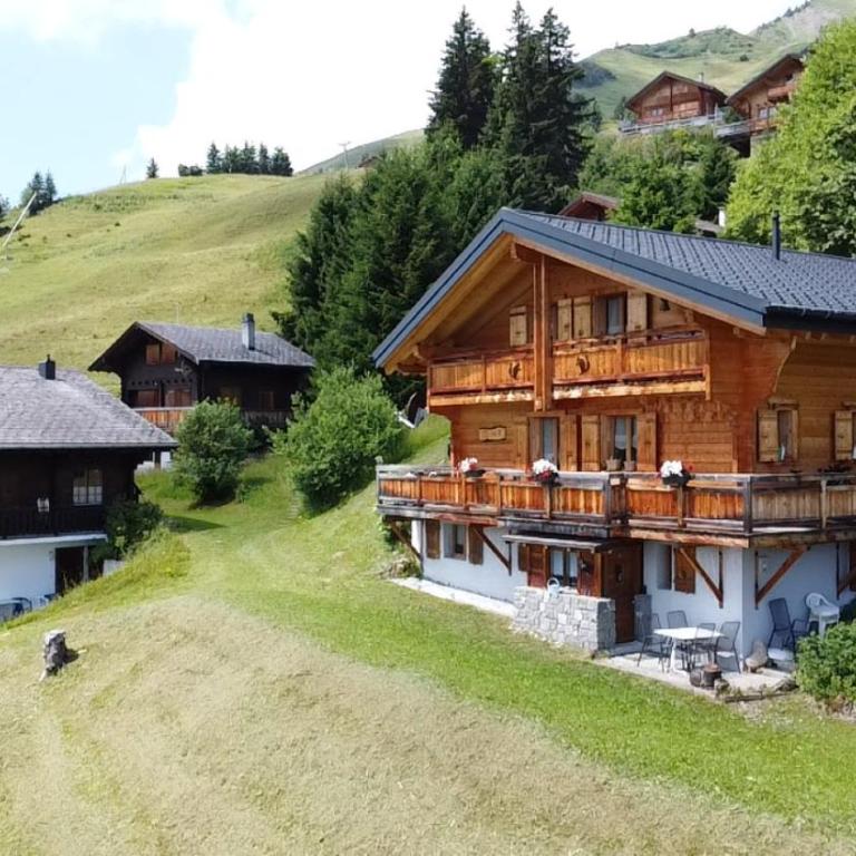 Chalet Ecureuil à Champoussin - Portes du Soleil - Apartment mit 2 Schlafzimmern und Terrasse - 10