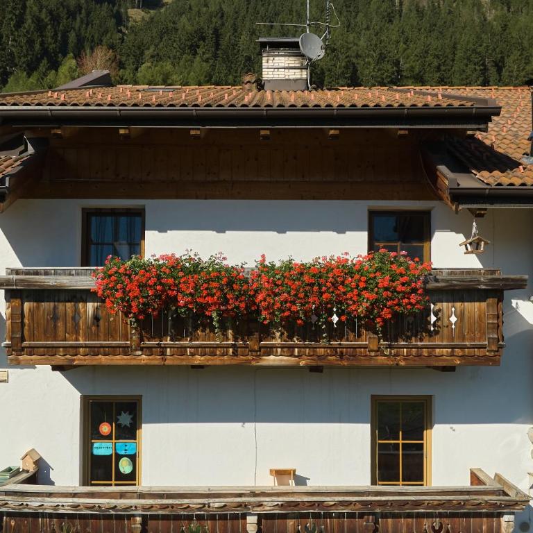 Pfitscherhof - Apartment mit 1 Schlafzimmer - 46
