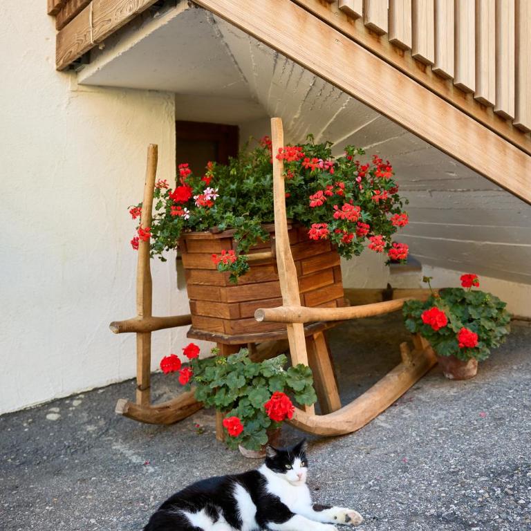 Pfitscherhof - Apartment mit 1 Schlafzimmer - 63