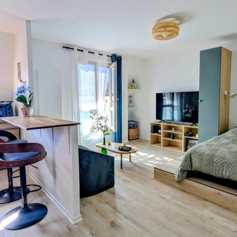 NANCY Appart ZEN - 5 minutes du centre-ville, parking gratuit - Appartamento con 1 Camera da Letto - 4