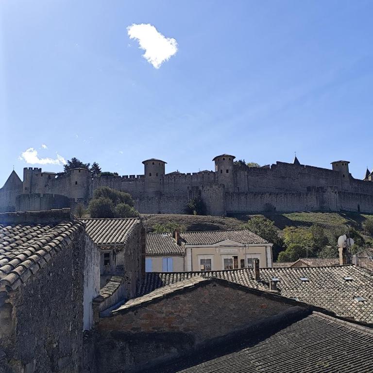 Vue sur les remparts de la cité médiévale -Clim-4pers - Apartment mit 1 Schlafzimmer - 3