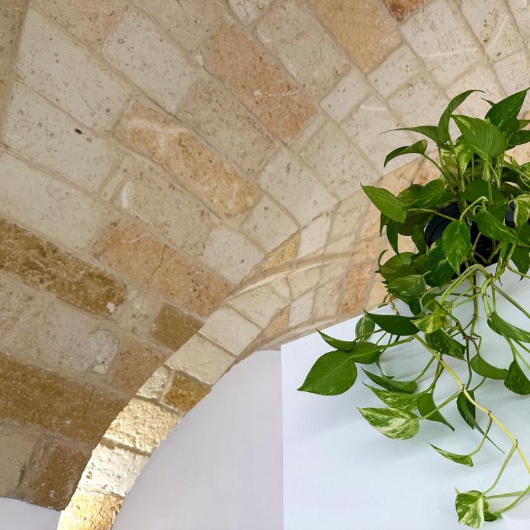 Leopardi B&B Brindisi Historic Center - Appartamento con 1 Camera da Letto - 17