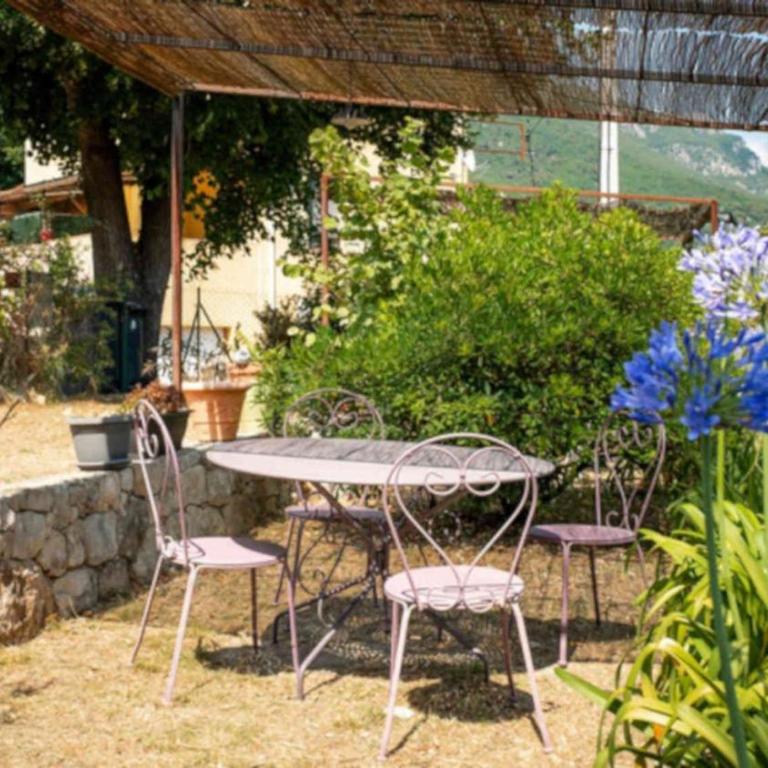 Holidays In Provence Alpes Maritimes - Maison de Vacances - 3