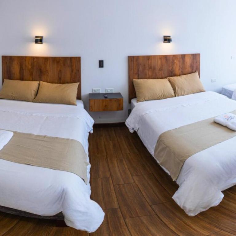 Fabis - Habitación Familiar con baño privado - 2