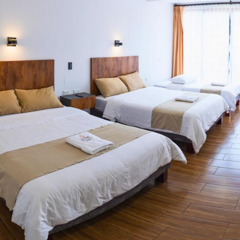 Fabis - Habitación Familiar con baño privado - 3