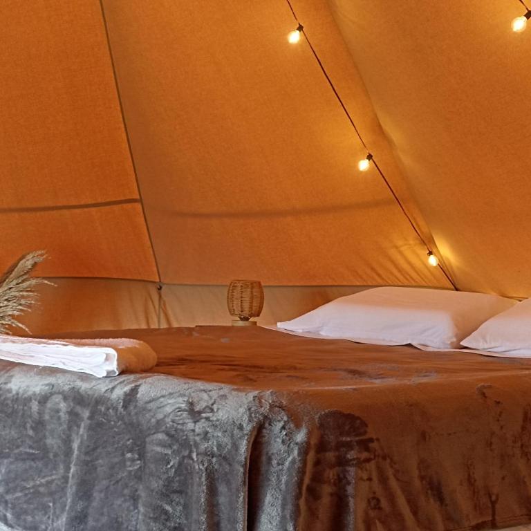Glamping & Cabaña con Paddle, ducha al aire libre, Pet-friendly - Oasis junto al Lago - Tienda - 2