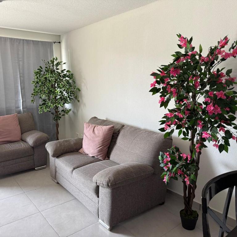 Casa nueva Tijuana con aire acondicionado - One-Bedroom House - 21
