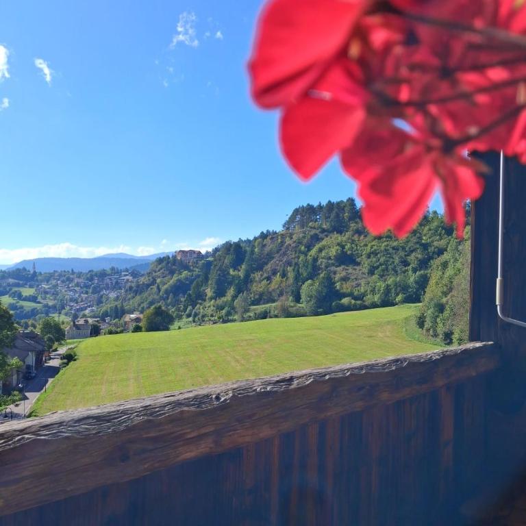 Maso Tre Cucù by Go New Location - Appartamento con 3 Camere da Letto - 26
