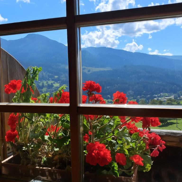 Maso Tre Cucù by Go New Location - Appartamento con 3 Camere da Letto - 25
