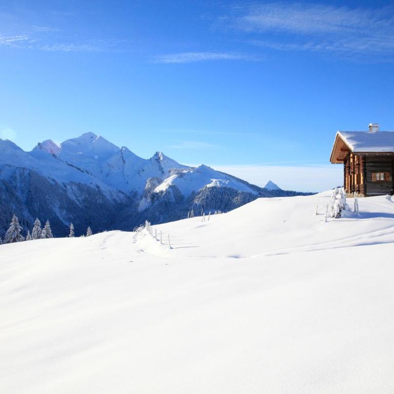Chalet La Trafolée - Chalet - 3