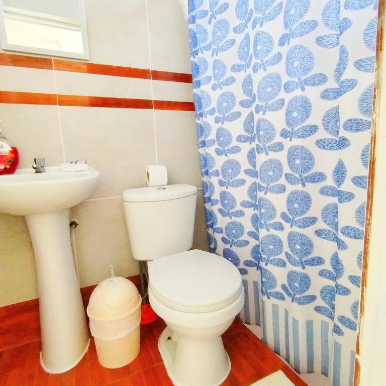 HOSPEDAJE WELCOME PARACAS peru - Double Room with Private Bathroom - 7