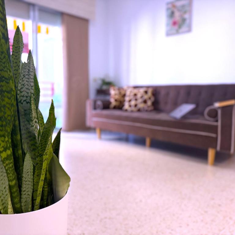 Tropicalidays Palmeras del Sur - Apartamento de 3 dormitorios - 23