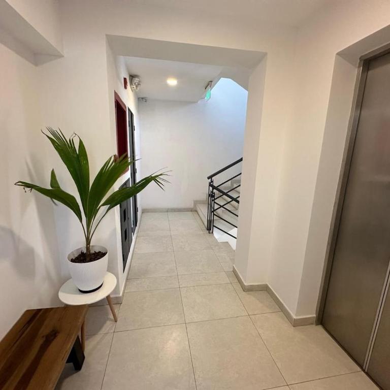 Penthouse in Bahia de Caráquez - Three-Bedroom Apartment - 13
