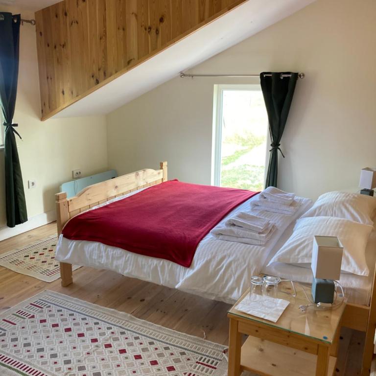 Vilino Kolo - Virak - Double Room - 5