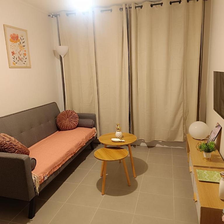 Acogedor dpto 1D 1B en villarrica - Apartamento de 1 dormitorio - 10