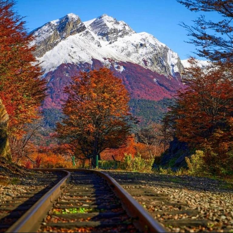 Sueño Blanco - Apartamento de 1 dormitorio - 2