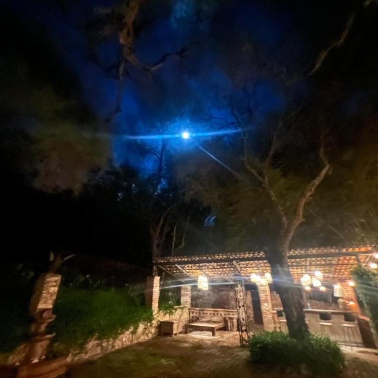 Pegaso Ranch - Villa de 1 dormitorio - 29