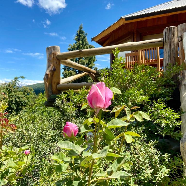 Cabaña Del Árbol - Casa - 4