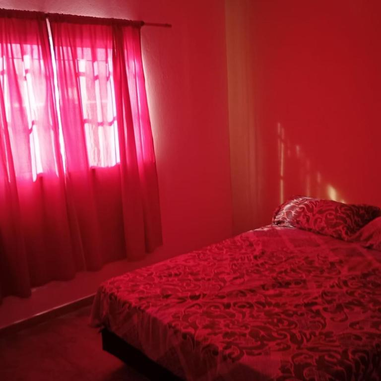 quinta lo de uriel - One-Bedroom Apartment - 4
