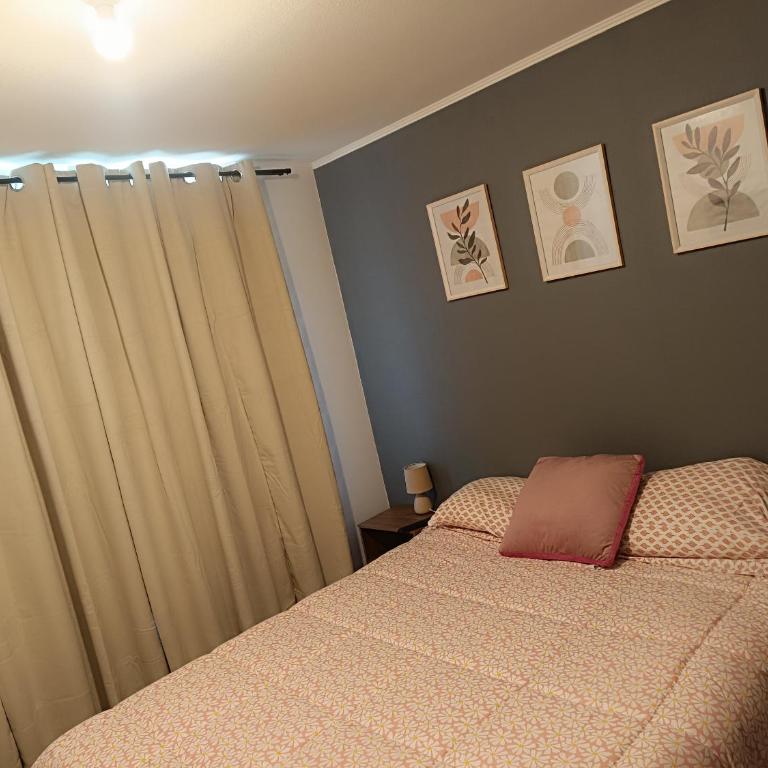 Acogedor dpto 1D 1B en villarrica - Apartamento de 1 dormitorio - 12