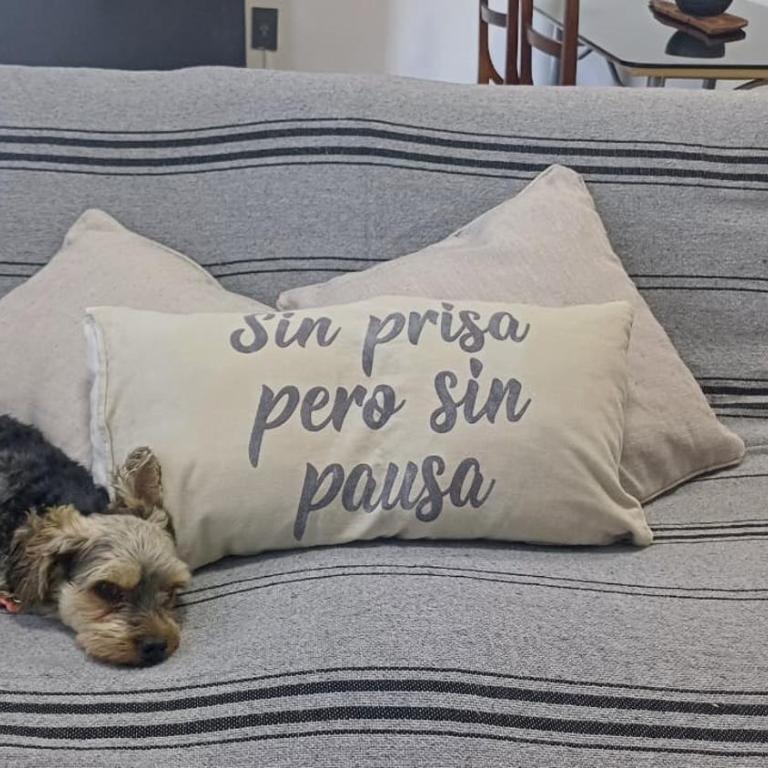 Las Azucenas - Apartamento de 1 dormitorio - 3