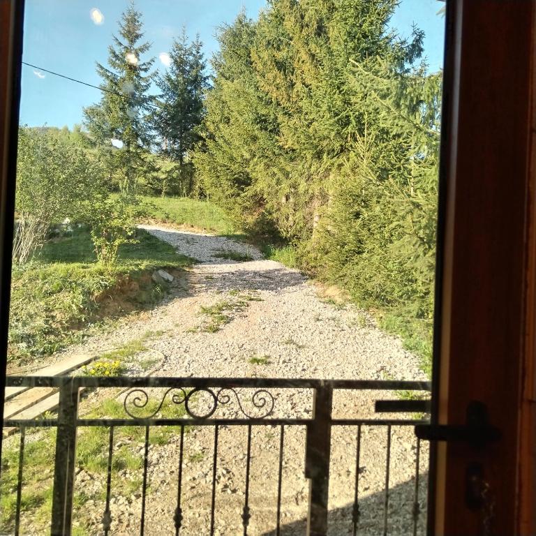 Brvnara Iva - Apartman sa 1 Spavaćom Sobom - 6