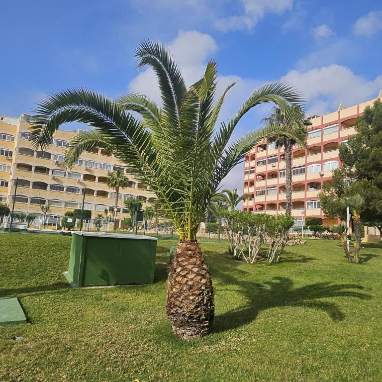 Mar Y Sol Relax - Apartamento de 1 dormitorio - 4