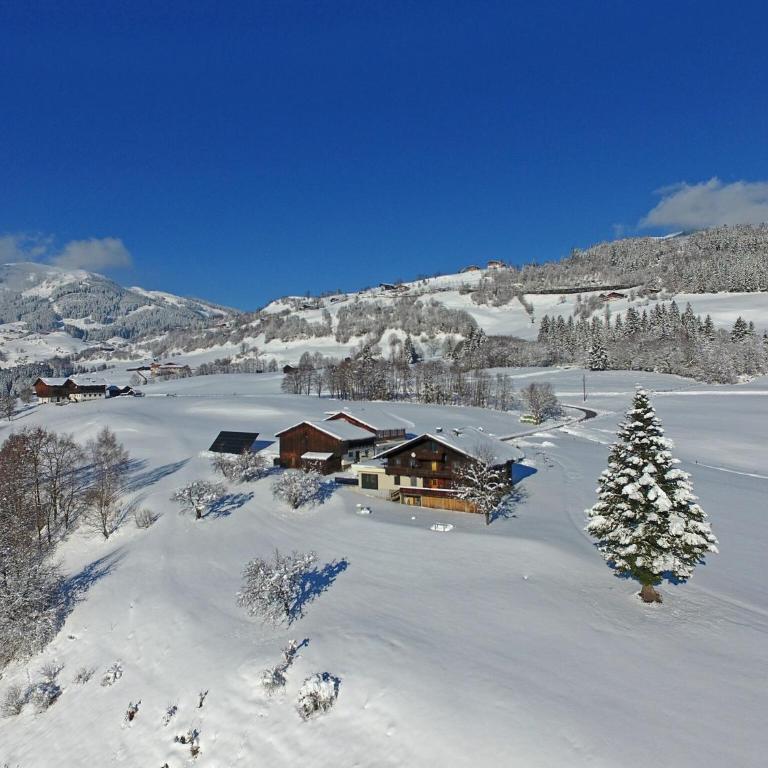 Farmhouse Mittersill near KitzSki Slopes - Ferienhaus mit 6 Schlafzimmern - 34