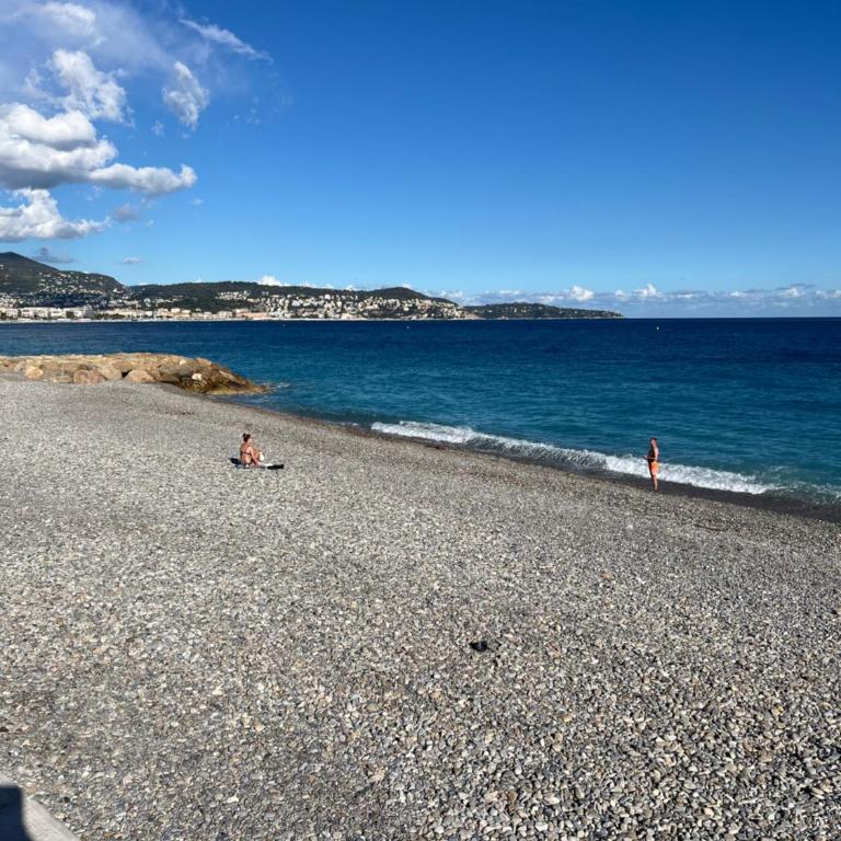 Le soleil niçois , proche mer et aéroport - Appartement 1 Chambre - 17