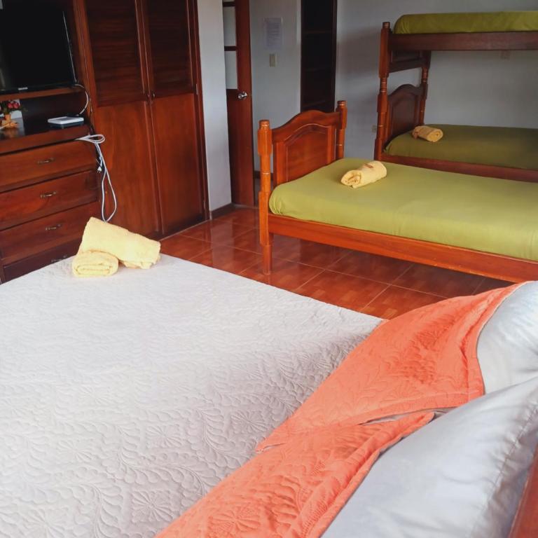 Chez Alicia Hostal - One-Bedroom Apartment - 4