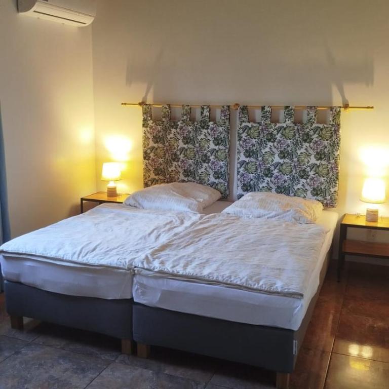 Casa Las Aves - One-Bedroom Apartment - 11