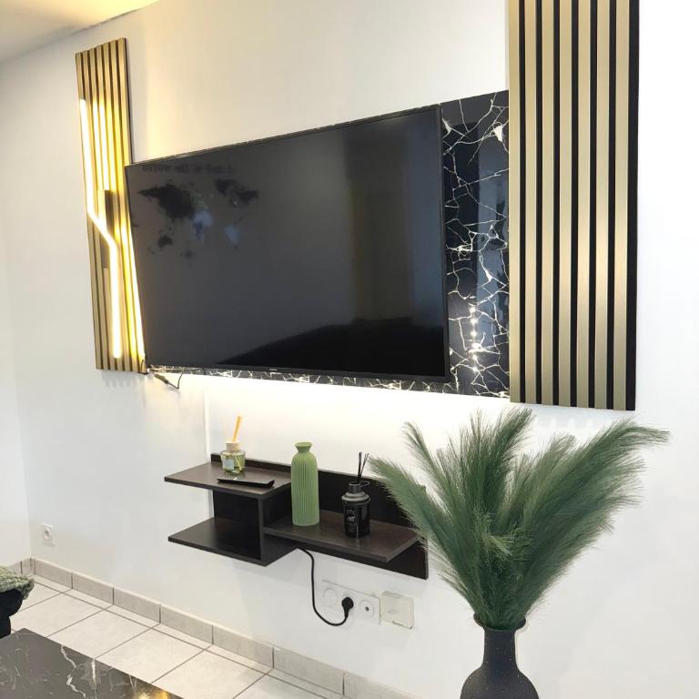 Appartement moderne calme 2 chambres WIFI fibre bein sport canal foot rmc netflix GRENOBLE - Apartment mit 2 Schlafzimmern - 10
