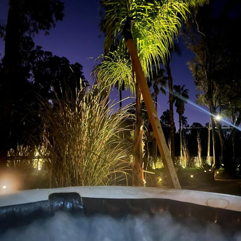 Tiny house between forest and sea - Apartamento de 1 dormitorio - 44