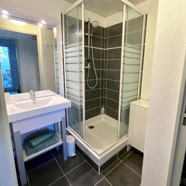 Le Cocon Camarguais 4 personnes Piscine Climatisation Wifi Parking Privé - Appartement 1 Chambre - 7