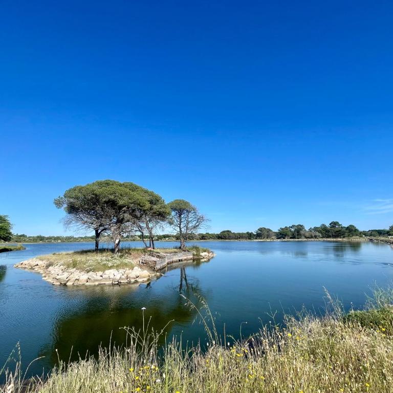 Le Cocon Camarguais 4 personnes Piscine Climatisation Wifi Parking Privé - Appartement 1 Chambre - 19