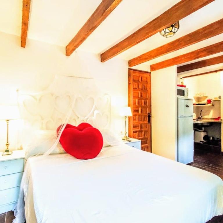 Casa Armonia - Apartamento de 1 dormitorio - 23