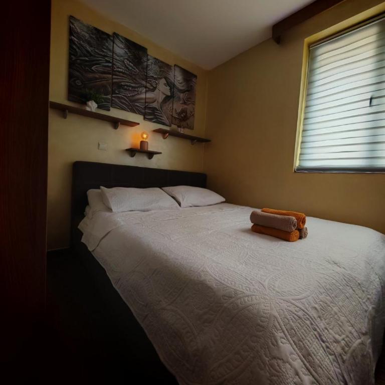 Magic Apartman Kop - Kraljevi Cardaci - One-Bedroom Apartment - 12