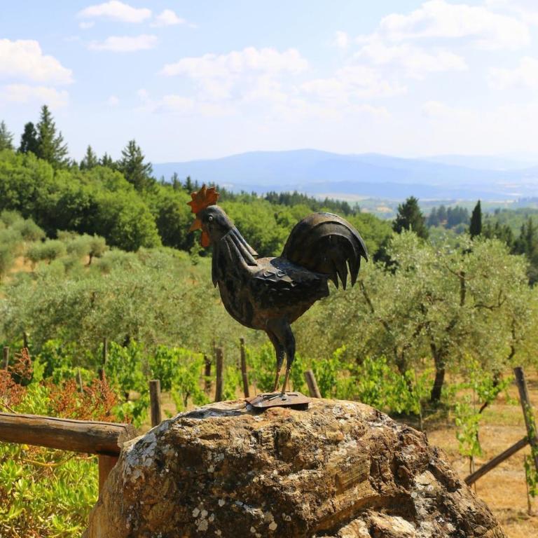 I Campini di Sestilio - Villa con Piscina Privata - 12