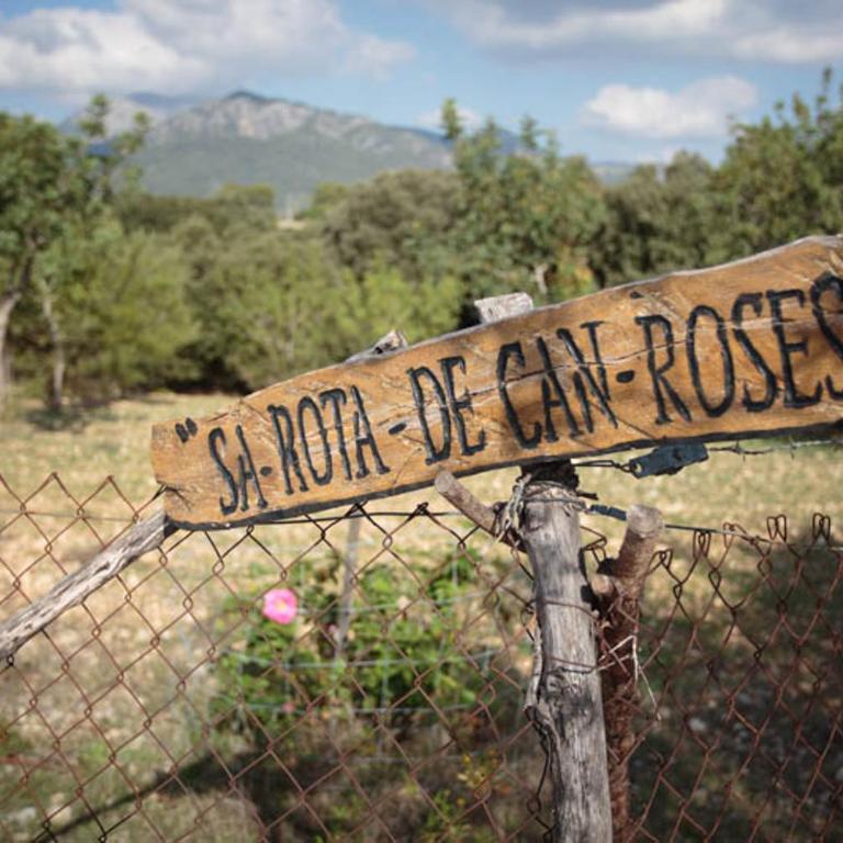 Finca Moscari - Villa - 33